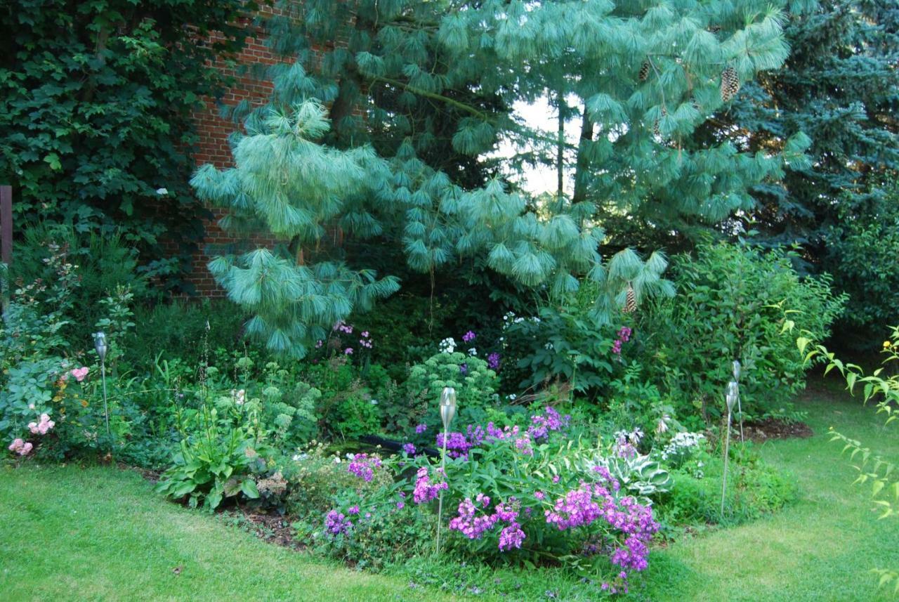 Ferienwohnung Aronia Warlow 외부 사진
